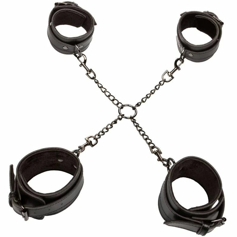 Euphoria Collection Hog Tie
